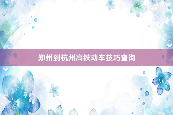 郑州到杭州高铁动车技巧查询